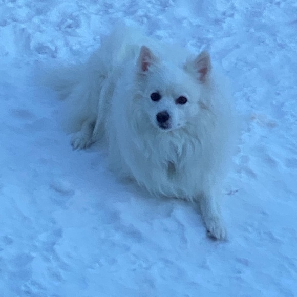 Meet your Posher, Christine - Picture 1 of 1